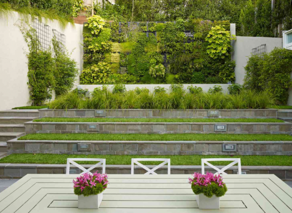 Taman kota dengan taman vertikal di dinding rumah